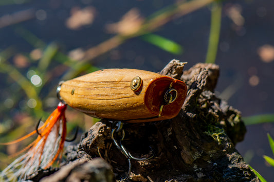 JACCO – Popper en Bois Massif