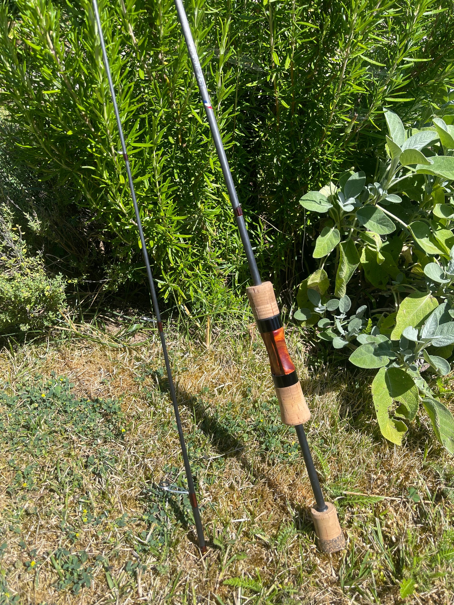 Canne Tricoleurres Édition Limitée Numérotée