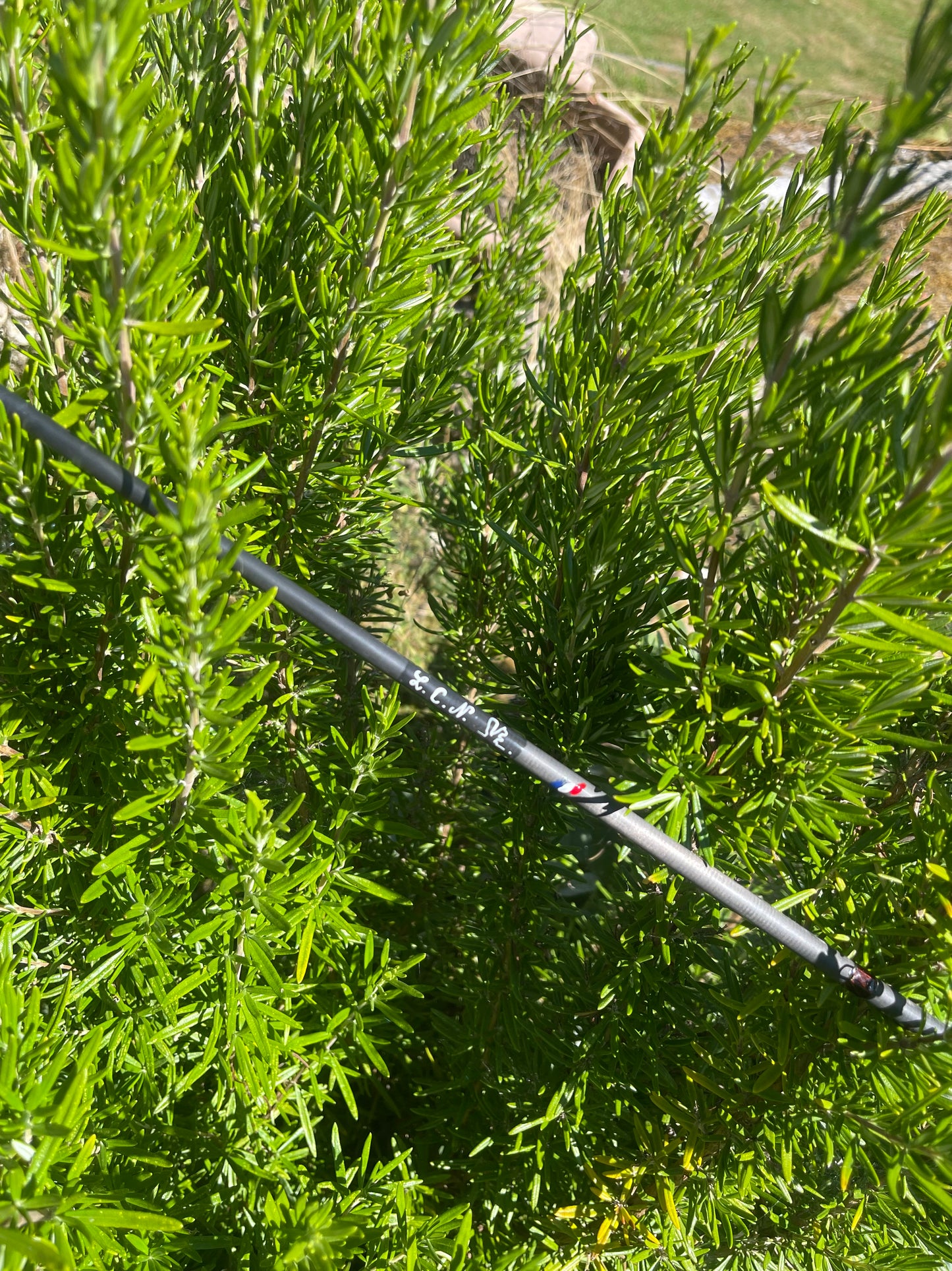 Canne Tricoleurres Édition Limitée Numérotée