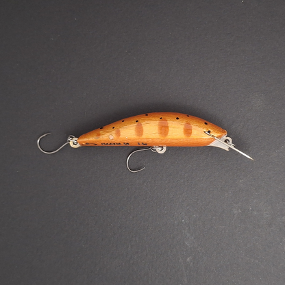 MAGDA MIGNON 50 – Poisson Nageur Compact