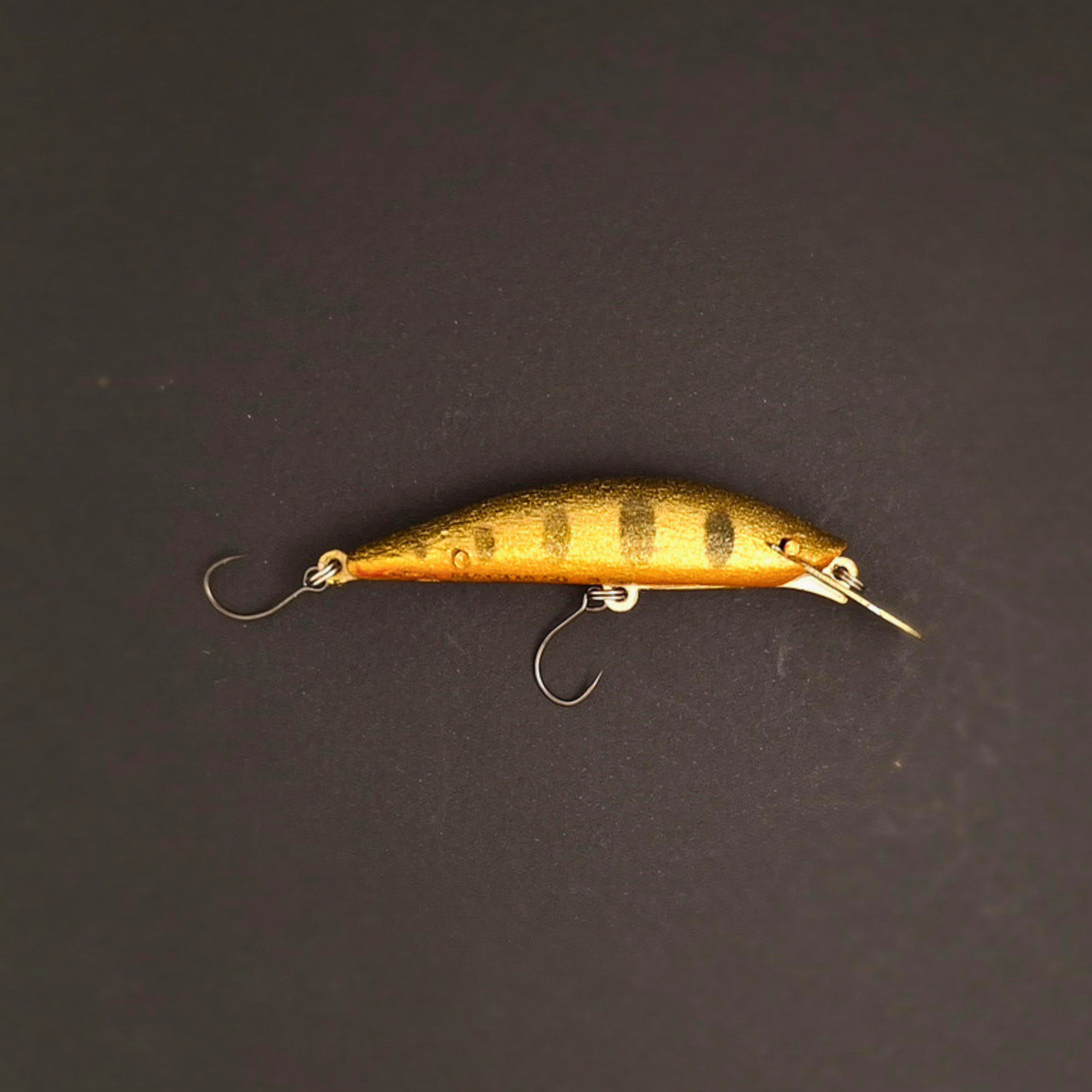 MAGDA MIGNON 50 – Poisson Nageur Compact