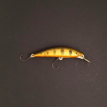MAGDA MIGNON 50 – Poisson Nageur Compact
