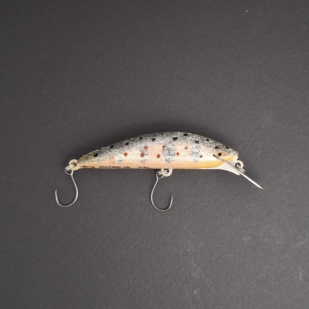 MAGDA MIGNON 50 – Poisson Nageur Compact